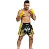 FIGHTERS - Thaibox Shorts / Elite Fighters / Schwarz-Gelb